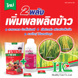  ซีบีเอ็ม ธาตุอาหารสำคัญของพืช