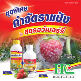 เฮกซะโคนาโซล ออกฤทธิ์ดูดซึม ยับยั้งโรคเชื้อรา