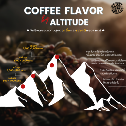 Baramio Coffee