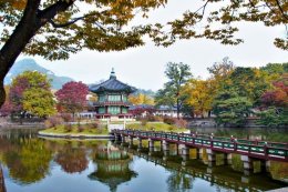 เที่ยวเกาหลี ฤดูไหนดี กับ 4 ช่วงเวลาที่สนุกตรงใจสุดๆ