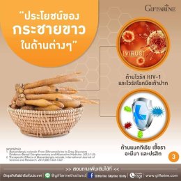 ดูแลสุขภาพเชิงป้องกันด้วยฟ้าทะลายโจรและกระชายแคปซูล