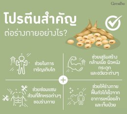 ทำไมเราควรดื่มโปรตีนจากพืช Plant Based Protein 