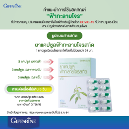วิธีกินฟ้าทะลายโจรกิฟฟารีน สูตรเข้มข้น