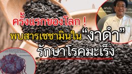 แท้จริงแล้ว เซซามิน เป็นของใครงานวิจัยใครคิดค้น
