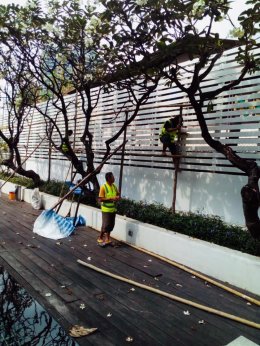งานทาสีกำแพงใหม่ คอนโด บลากาเวีย