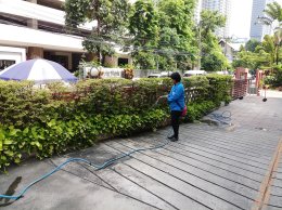 สุขุมวิทรีสอร์ท