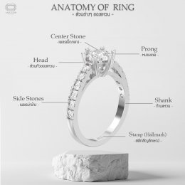 Anatomy of Ring มาทำความรู้จักส่วนต่างๆ ของตัวเรือนแหวนกัน