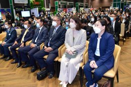 Safety city, Smart city, Low carbon city 2022