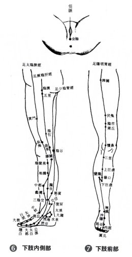 人体经穴图