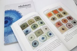 หนังสือ แคตตาล็อค เมนู