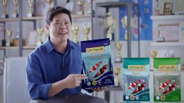 เคล็ดลับ…ที่ไม่ลับ ของการเลี้ยงปลาคาร์ฟ