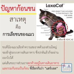 Hairball ??? ปัญหาก้อนขนของแมว