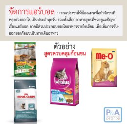Hairball ??? ปัญหาก้อนขนของแมว