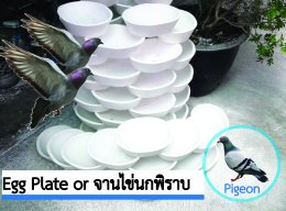 สินค้าขายดีของเรา