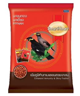 สินค้าขายดีของเรา