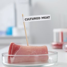 เนื้อสัตว์เพาะเลี้ยง อาหารแห่งอนาคตที่ไม่ไกลเกินเอื้อม Cultured Meat: Future Food within Reach