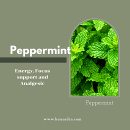 Peppermint Pure Essential Oil