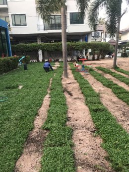 ปรับปรุงสนามหญ้าและสวนโรงแรม หน้างาน บางแสน