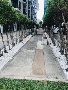 ปรับปรุงสนามหญ้าและสวนโรงแรม หน้างาน บางแสน