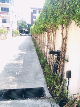 ปรับปรุงสนามหญ้าและสวนโรงแรม หน้างาน บางแสน