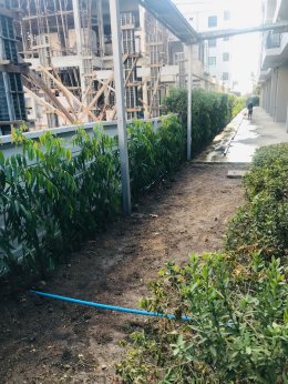 ปรับปรุงสนามหญ้าและสวนโรงแรม หน้างาน บางแสน