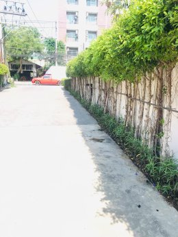 ปรับปรุงสนามหญ้าและสวนโรงแรม หน้างาน บางแสน
