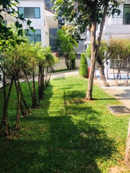 ปรับปรุงสนามหญ้าและสวนโรงแรม หน้างาน บางแสน