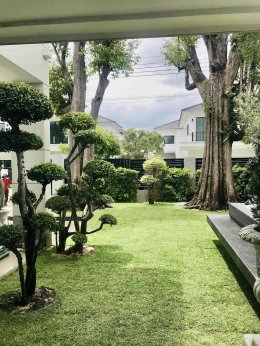 ปูหญ้านวลน้อย หน้างาน หมู่บ้านลัดดารมย์ ราชพฤกษ์ ตัดใหม่