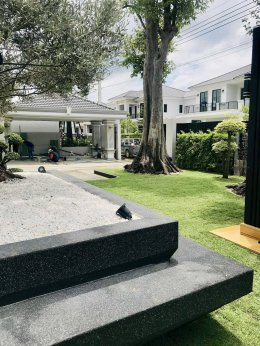 ปูหญ้านวลน้อย หน้างาน หมู่บ้านลัดดารมย์ ราชพฤกษ์ ตัดใหม่