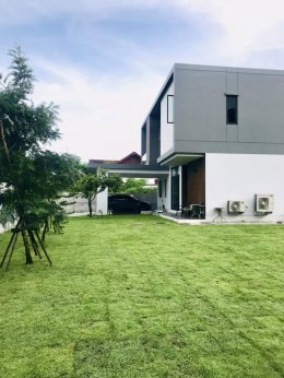 -ปูหญ้านวลน้อย 300 ตรม  หน้างาน บางกะปิ