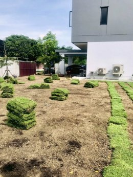 -ปูหญ้านวลน้อย 300 ตรม  หน้างาน บางกะปิ