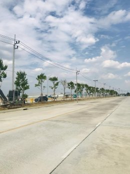 ปลูกต้นไม้โครงการ ปูหญ้านวลน้อย 7050 ตรม. โรงงาน จ.สมุทรปราการ