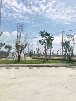 ปลูกต้นไม้โครงการ ปูหญ้านวลน้อย 7050 ตรม. โรงงาน จ.สมุทรปราการ