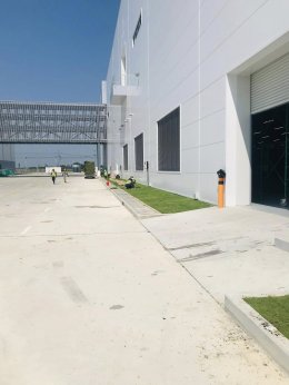 ปลูกต้นไม้โครงการ ปูหญ้านวลน้อย 7050 ตรม. โรงงาน จ.สมุทรปราการ