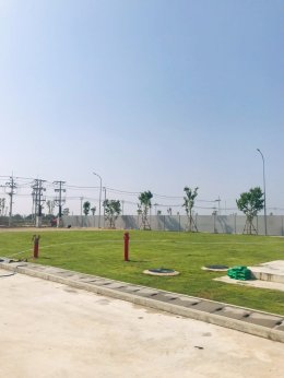 ปลูกต้นไม้โครงการ ปูหญ้านวลน้อย 7050 ตรม. โรงงาน จ.สมุทรปราการ