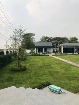 ปูหญ้านวลน้อย 1921 ตรม.หน้างานชัยภูมิ