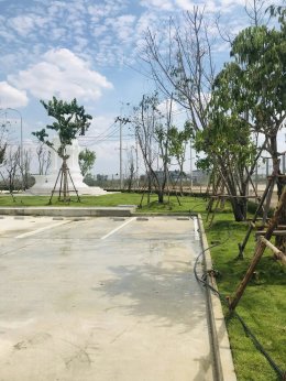 ปลูกต้นไม้โครงการ ปูหญ้านวลน้อย 7050 ตรม. โรงงาน จ.สมุทรปราการ