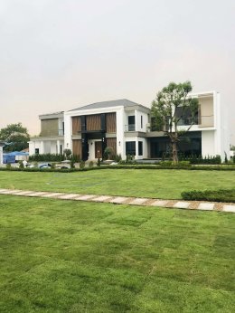 ปูหญ้านวลน้อย 1921 ตรม.หน้างานชัยภูมิ