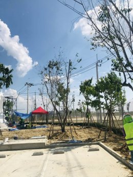 ปลูกต้นไม้โครงการ ปูหญ้านวลน้อย 7050 ตรม. โรงงาน จ.สมุทรปราการ