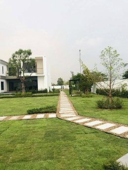 ปูหญ้านวลน้อย 1921 ตรม.หน้างานชัยภูมิ