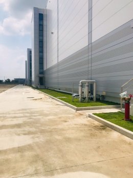 ปลูกต้นไม้โครงการ ปูหญ้านวลน้อย 7050 ตรม. โรงงาน จ.สมุทรปราการ