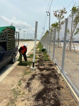 ปูหญ้ารอบรั้วโรงงาน หน้างาน บางบ่อ