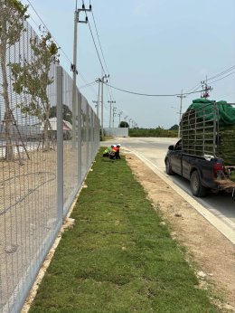 ปูหญ้ารอบรั้วโรงงาน หน้างาน บางบ่อ
