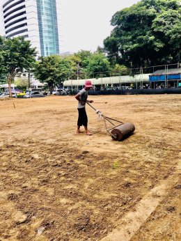 ปรับพื้นที่ ปูหญ้าพาสพาลั่ม กรมขนส่งทางบก จตุจักร