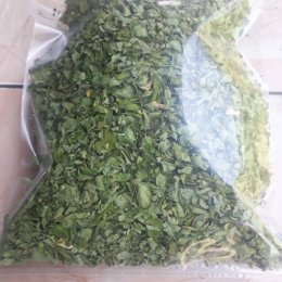 Dried Moringa Leaves: A Superfood with Immense Potential