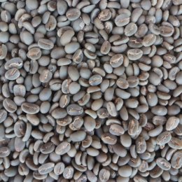 The Must-Try Coffee Beans to Import from Indonesia