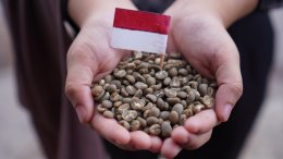 Indonesia's Coffee Beans: A Journey from Farm to Cup