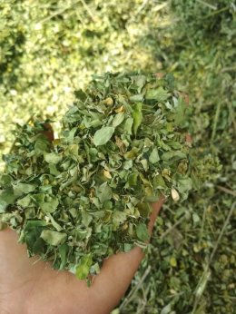 Dried Moringa Leaves: A Superfood with Immense Potential