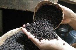 Benefits of Black Pepper: Health and Cuisine