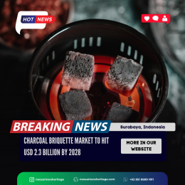 Global Demand Spurs Surge in Coconut Charcoal Briquettes Prices